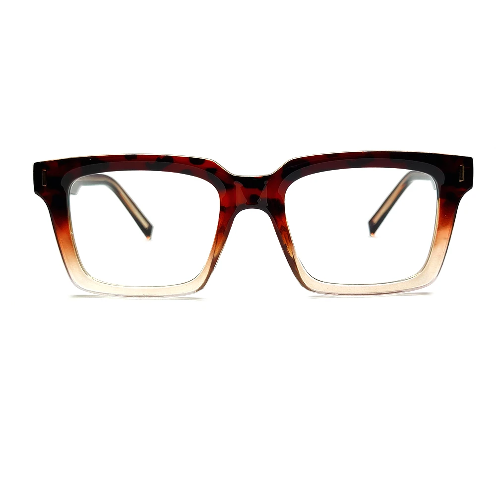 Bold Classic Eyeglasses in Leopard