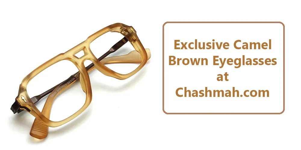 camel brown eyeglasses at chashmah.com