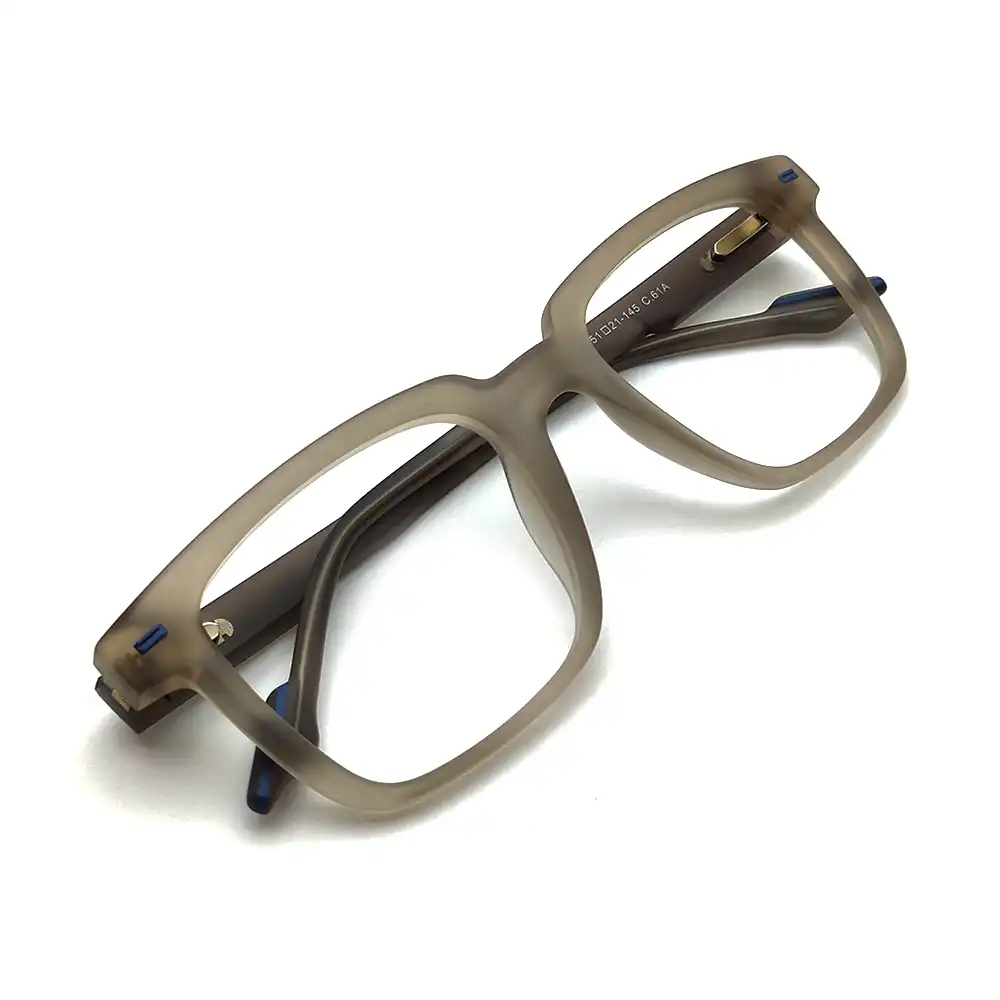 Matte Brown Wayferar Eyeglasses IMG20241029163343 1