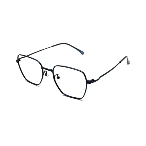 Blue Turban Friendly Frame at chashma