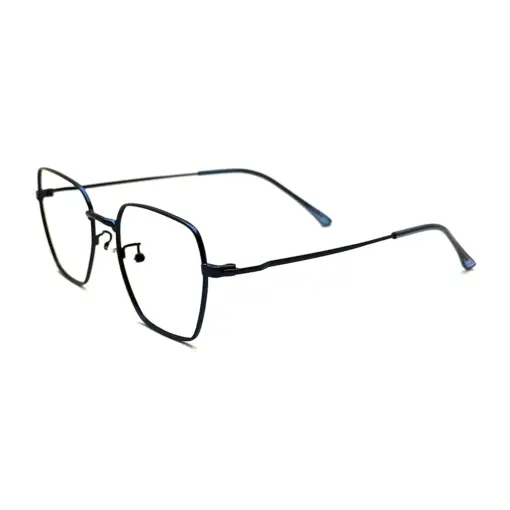 Blue Turban Friendly Frame at chashma