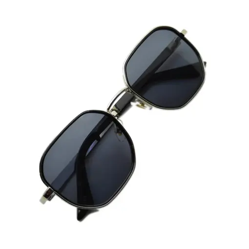 Chris Sunglasses in Silver at chashma.com