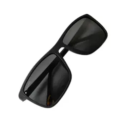 Polarized Wayfarer Sunglasses at chashma