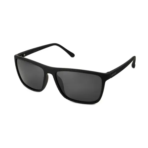 Polarized Wayfarer Sunglasses at chashma