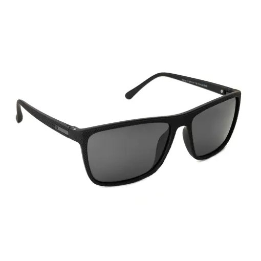 Polarized Wayfarer Sunglasses at chashma