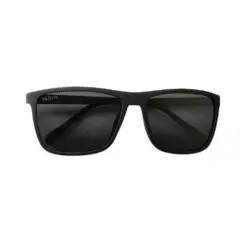 Polarized Wayfarer Sunglasses at chashma