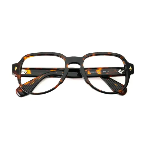 Bold Acetate Aviator Eyeglasses at chashma