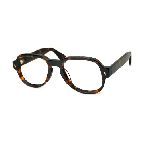 Bold Acetate Aviator Eyeglasses at chashma
