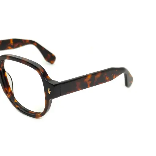 Bold Acetate Aviator Eyeglasses at chashma