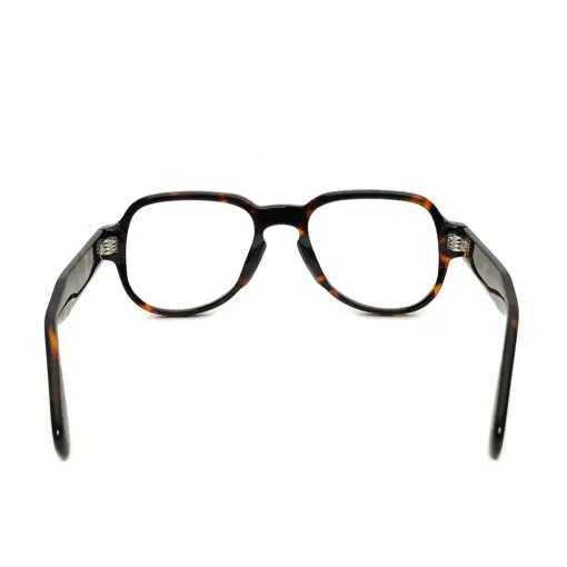 Bold Acetate Aviator Eyeglasses at chashma