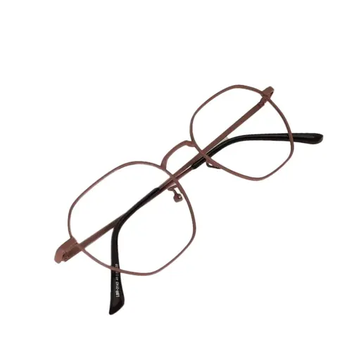 Brown Metal Modern Eyeglasses at chashma