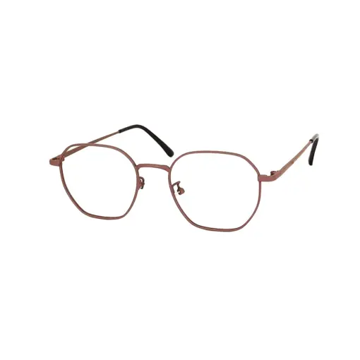 Brown Metal Modern Eyeglasses at chashma