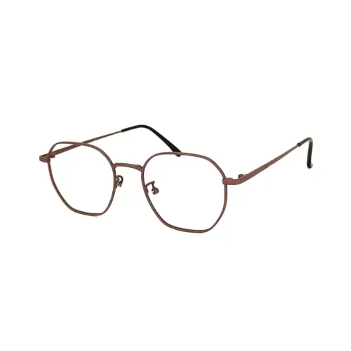 Brown Metal Modern Eyeglasses at chashma