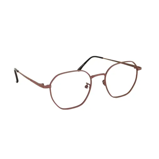 Brown Metal Modern Eyeglasses at chashma