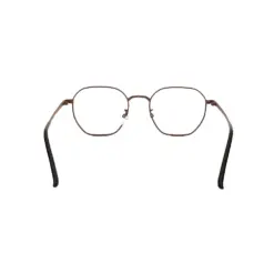 Brown Metal Modern Eyeglasses at chashma