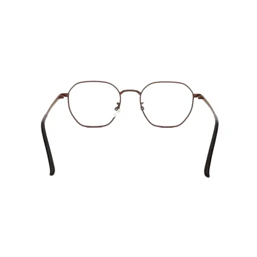 Brown Metal Modern Eyeglasses at chashma