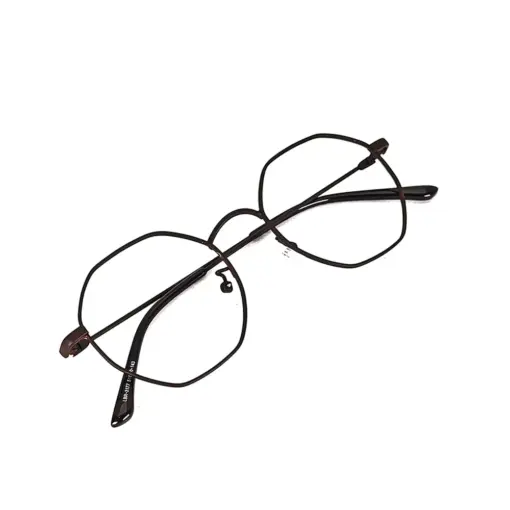 Brown Hexxa Modern Eyeglasses