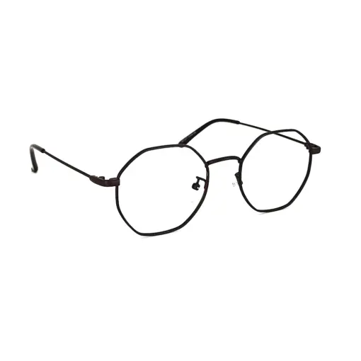 Brown Hexxa Modern Eyeglasses