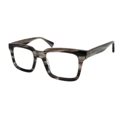 Carbon Black Wayferar Eyeglasses at chashmah