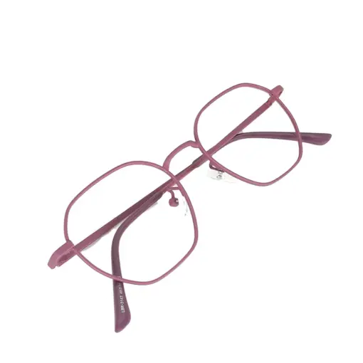 Mauve Metal Modern Eyeglasses at chashma