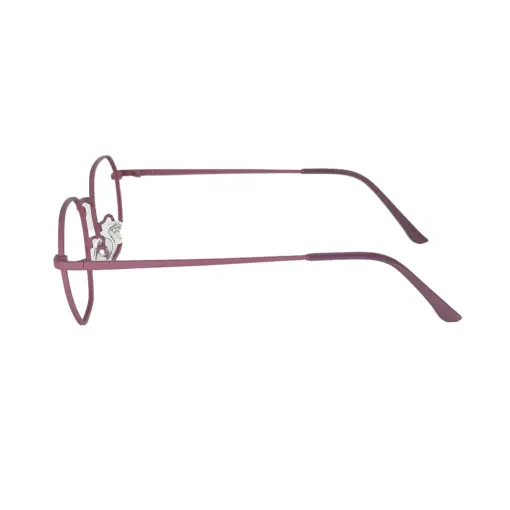 Mauve Metal Modern Eyeglasses at chashma